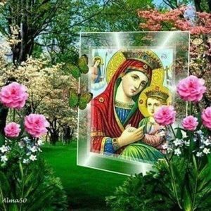 Meet your Posher, Shewanesh